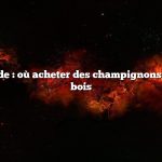 Réponse rapide : où acheter des champignons au poulet des bois